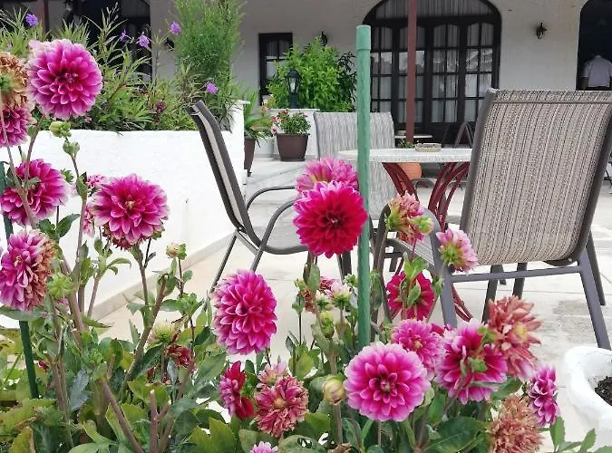 Paradise 3* Vasilias (Skiathos)