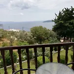 Paradise 3*
