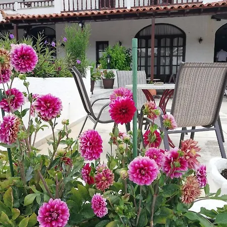 Paradise 3* Vasilias (Skiathos)